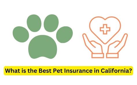 who is the best pet insurance california